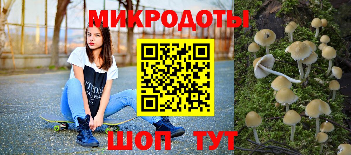 Углич  Галлюциногенные грибы MAGIC MUSHROOMS  Вход с VPN 